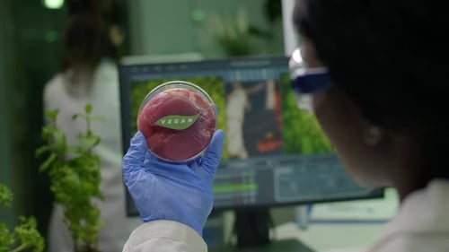 Scientist Holding Vegan Meat Alternative in Lab
