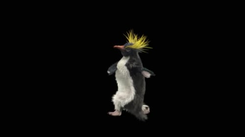 Pinguin tanzend HD
