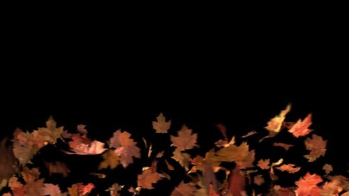 Loopable Blowing Leaves Background