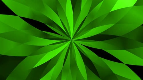 Green Color Flower Pattern Animated Background