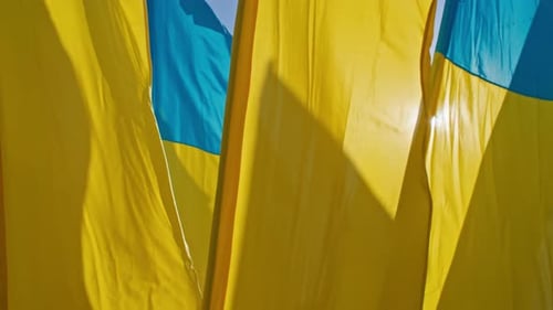 Ukrainian Flags Fluttering Brightly in the Sunshine