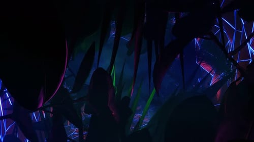 VJ Loops Abstract Background Night Neon Jungle