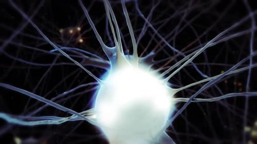 Voando em 3D pelo sistema nervoso humano com células nervosas pulsantes e axônios