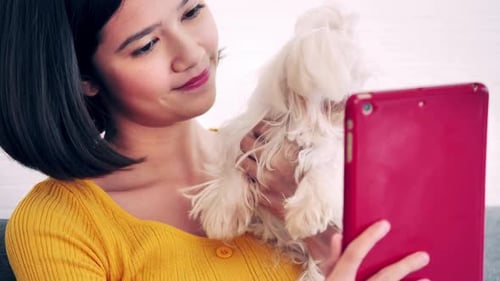 Woman Video Chatting with Dog and Tablet Indoors