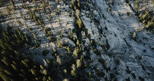 Top View Amazing White Stone Rocky Landscape with Pine Trees at Epic Sunny Summer Yosemite National