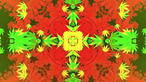 Abstract Cannabis Leaves Geometric Kaleidoscope Background