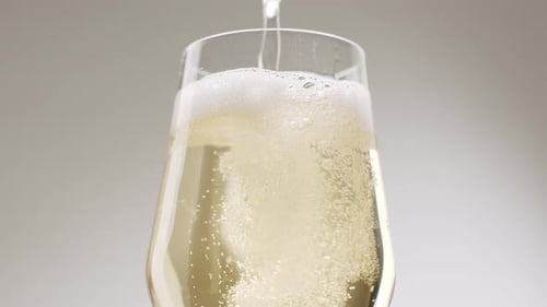 Champagne Bubbles Fill a Glass