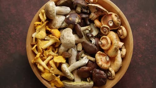 Fresh Mushrooms Assortment in Wooden Bowl