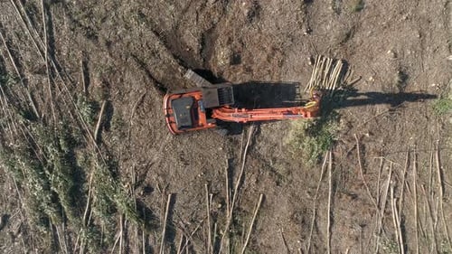 Aerial of Tree Harvesting with an Industrial Vehicle