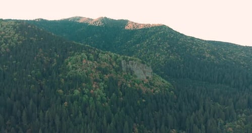 Aerial View Of Rocky Mountain with Lush Green Coniferous Forest At Daytime.