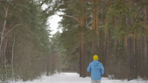 Rear View of Man Jogging in Forest on Quiet Winter Morning