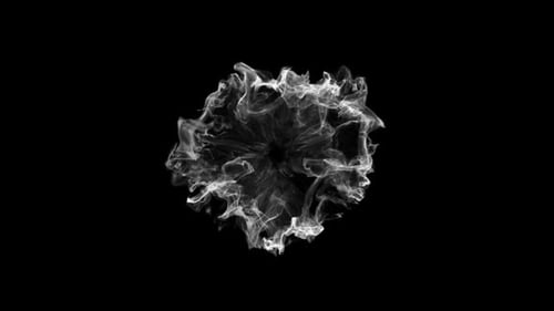 Elegant Fluid Smoke Burst Reveal Animation