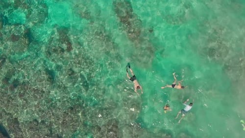 Aerial View of People Snorkeling in Tropical Ocean
