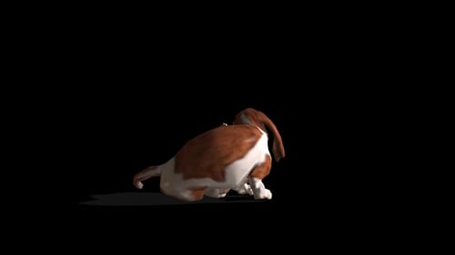Animated Basset Hound Dog Sits and Stands