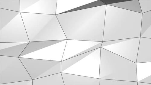 White Gray Smooth Abstract Technology Plexus Network Science.