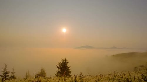 Sunrise over Foggy Mountain Meadow at Dawn