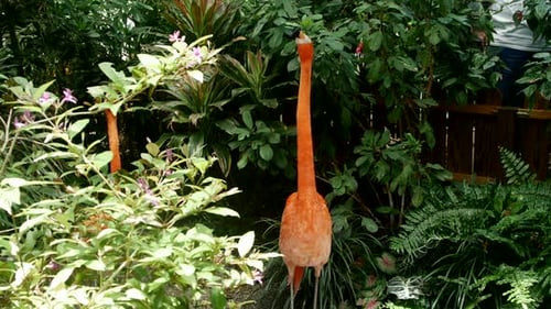 Vögel