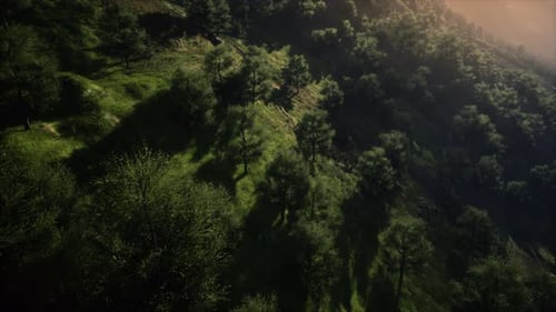 Autumn Morning with Fog in Mountains