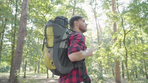 Young Male Tourist with Rucksack Walking in Sunrays in Summer Forest and Looking Around. Portrait of