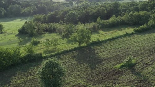 Meadow after sunrise with agricultural land and trees 4K drone video