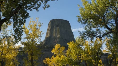 Devils Tower Butte und gelbe Bäume im Herbst
