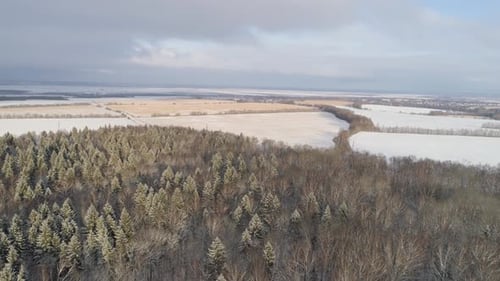 Winter Landscape with Forest, Field, Winter Landscape