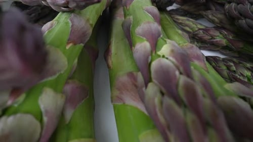 Spargel 21