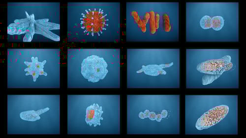 3D Animated Microscopic Organisms, Viruses, and Bacteria Collection