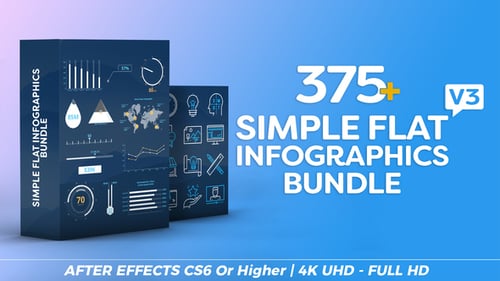 Simple Flat Infographics Bundle