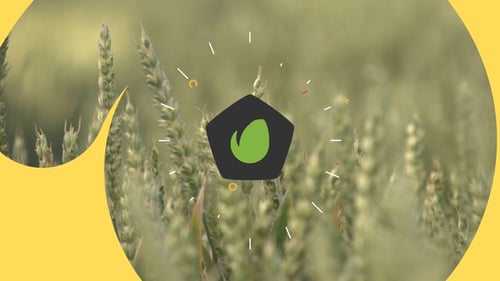 3d Flat Logo Reveal