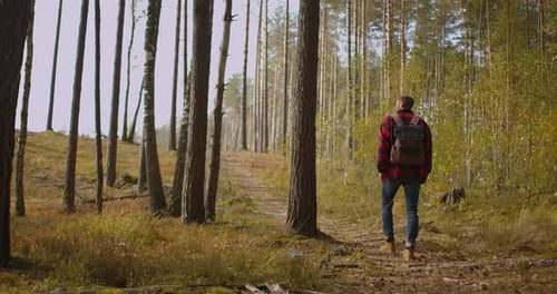 Outdoor Activities Travel Concept Man in Nature. Back View of Walking Person on Field Road in