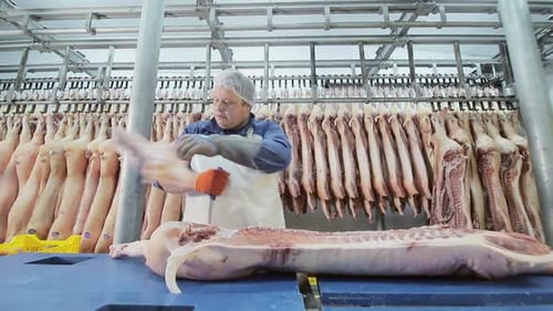 Man processing meat in food production facility