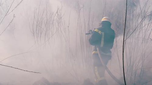 Firefighters in Equipment Extinguish Forest Fire with Fire Hose. Slow Motion