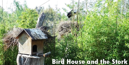 Vogelhaus und der Storch