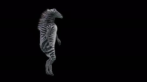 Dynamic 3D Dancing Zebra Character Animation