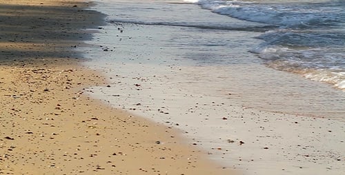 Shoreline Wave Slow Motion II
