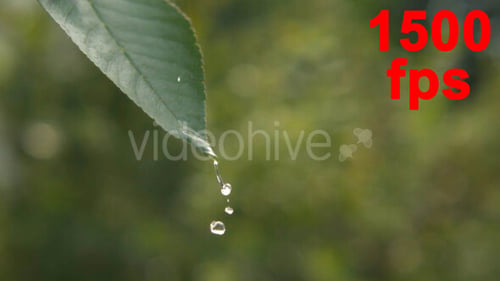 Natur