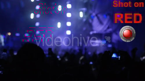 Concert with People at Rock Show