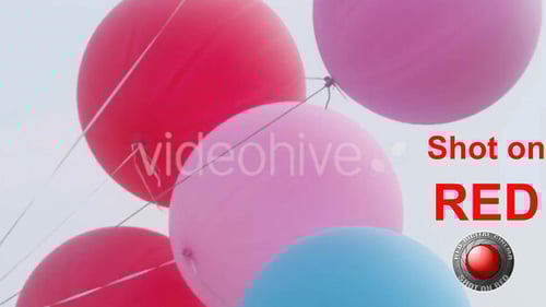 Colorful Balloons Floating Against Sky Background