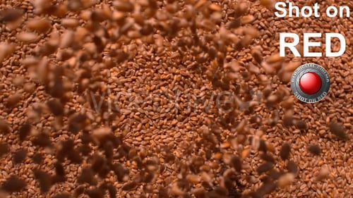 Falling Grains of Wheat Filling Frame