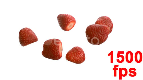 Fruits