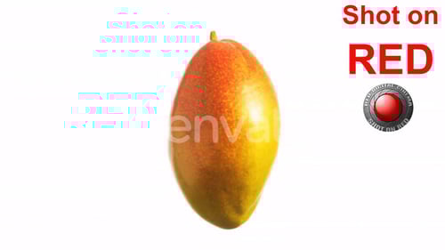 Rotating Mango Fruit on White Background