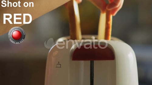 Toasting Bread in a White Kitchen Toaster