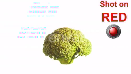 Rotating Broccoli on White Background