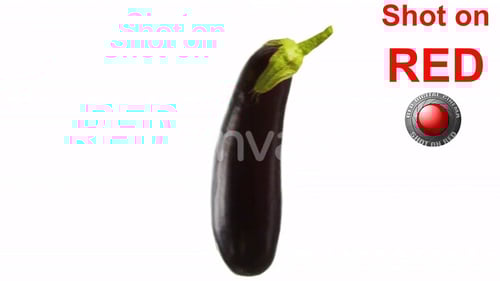 Single Eggplant Rotating on a White Background