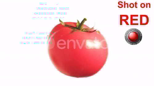 Single Ripe Red Tomato Rotating on White Background