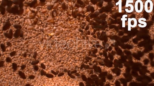 Falling Wheat Seeds Forming Golden Textured Pile