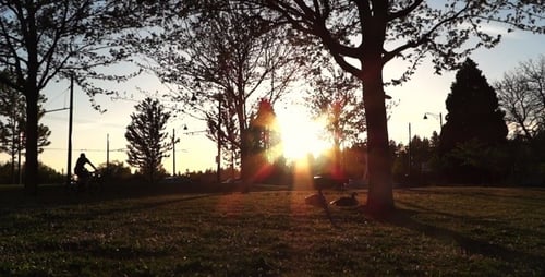 Sunset Park And Geese 1
