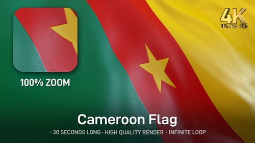 Dynamic Realistic Waving Flag of Cameroon Seamless Loop