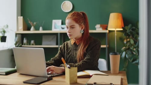 Young Businesswoman Web Calling on Laptop in Office
